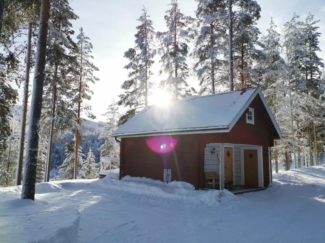 Zorbcenter Holiday Homes Hammarstrand Exterior photo